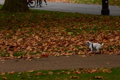 DSC_0674 (Large).JPG